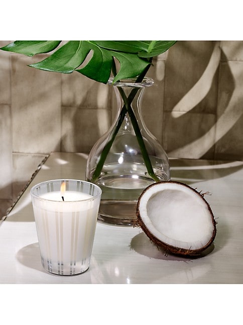 coconut and palm candle 8.1 oz. COCONUT & PALM CLASSIC CANDLE – BELLE