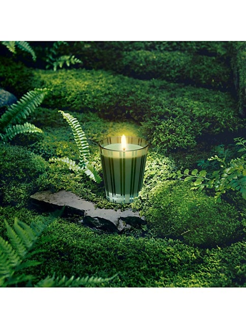 8.1 oz.  MIDNIGHT MOSS & VETIVER CLASSIC CANDLE