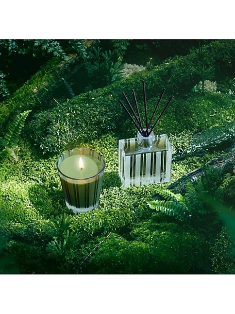 8.1 oz.  MIDNIGHT MOSS & VETIVER CLASSIC CANDLE