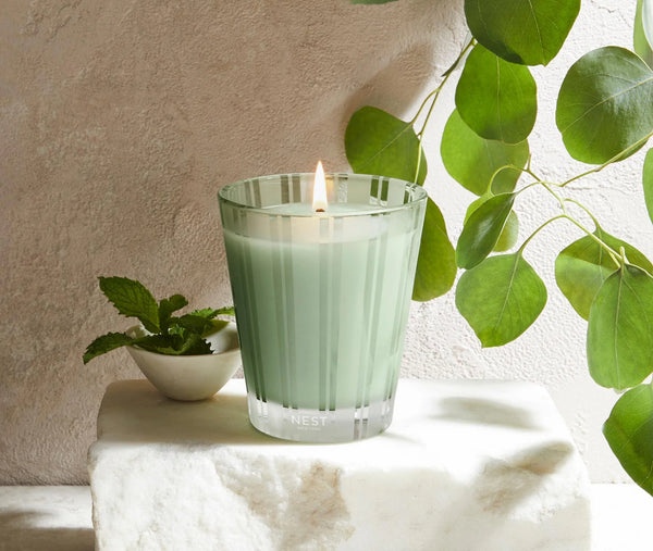 8.1 oz. WILD MINT & EUCALYPTUS CLASSIC CANDLE