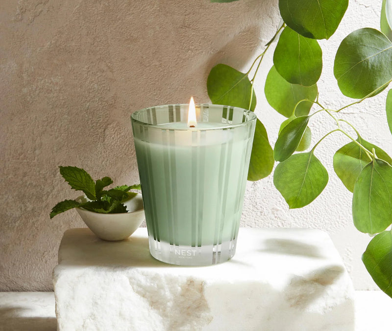 8.1 oz. WILD MINT & EUCALYPTUS CLASSIC CANDLE